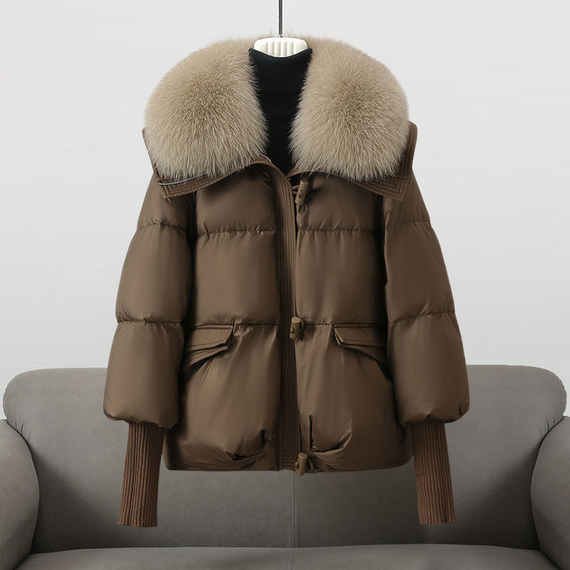 Leichte Windbreaker-Jacke mit Kapuze, wasserabweisend & winddicht | Ideal für Frühling & Herbst