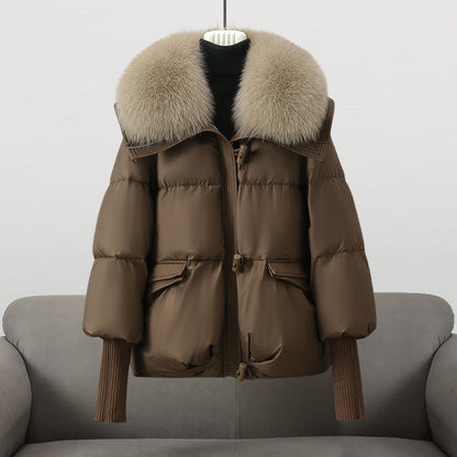Leichte Windbreaker-Jacke mit Kapuze, wasserabweisend & winddicht | Ideal für Frühling & Herbst